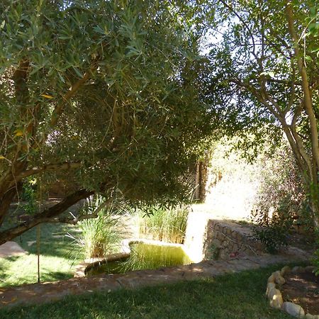 Agadir-Taghazout Magnifique Villa Dar Lina 4 Etoiles Exteriör bild